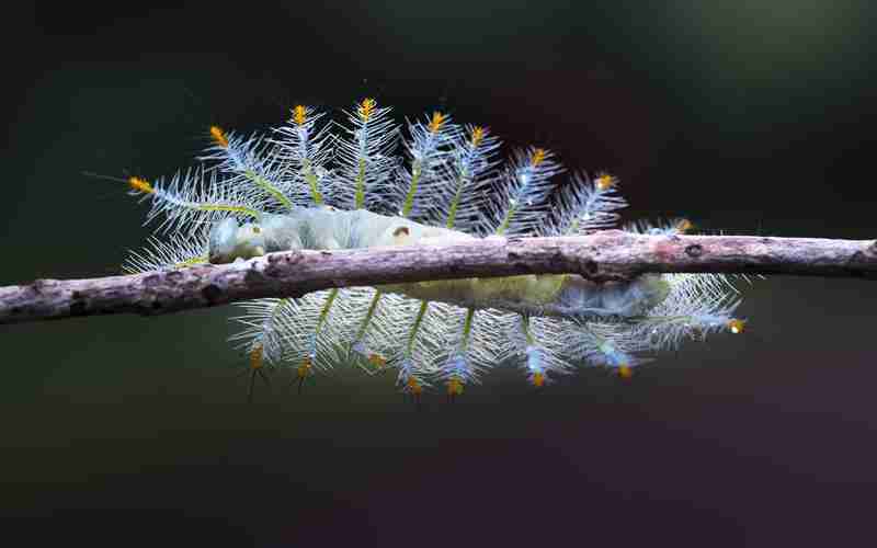 安卓手机上无法启动ChatGPT,可能是什么原因 安卓手机上无法启动ChatGPT,可能是什么原因