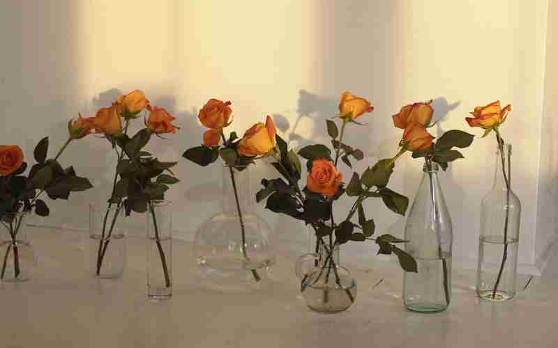 如何使用ChatGPT生成健康和医疗相关内容 如何使用ChatGPT生成健康和医疗相关内容