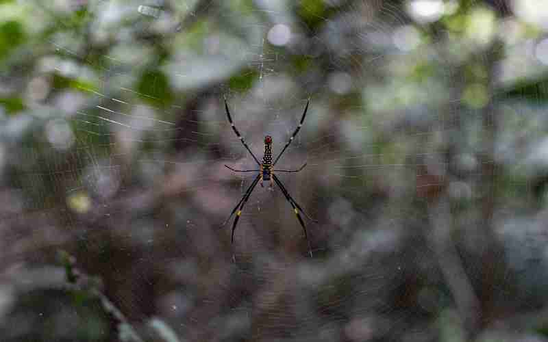如何调优ChatGPT的输出结果