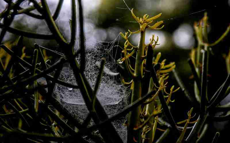 登录ChatGPT时出现账户异常，如何解决