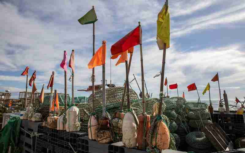 ChatGPT如何在医疗行业中应用