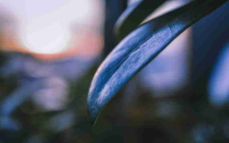 ChatGPT与传统机器学习模型的区别 ChatGPT与传统机器学习模型的区别