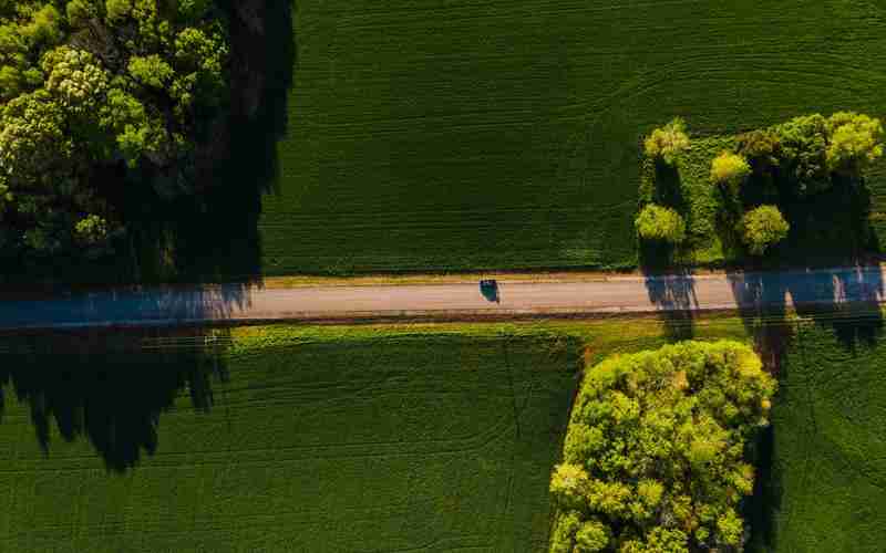 ChatGPT网页版如何处理长文本输入