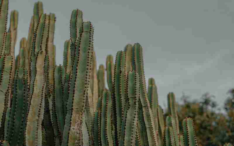 三星ChatGPT 4.0的主要功能有哪些 三星ChatGPT 4.0的主要功能有哪些