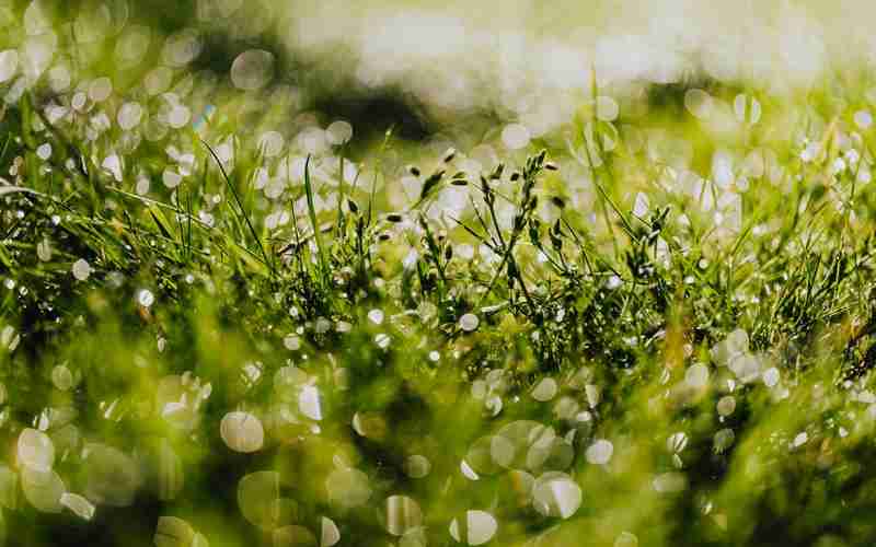 ChatGPT 4.0如何应对偏见和歧视问题 ChatGPT 4.0如何应对偏见和歧视问题