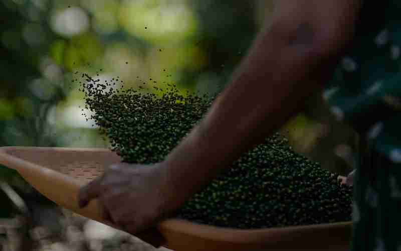 在大数据分析中，如何借助ChatGPT中转服务