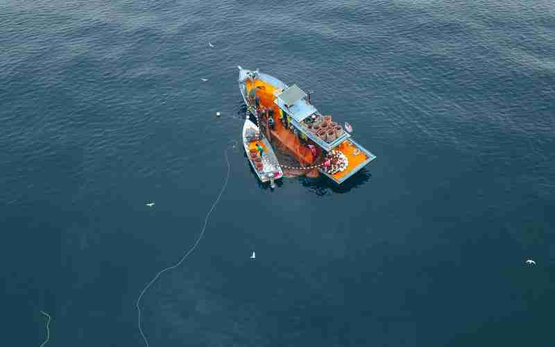 ChatGPT-4如何理解和生成文本 ChatGPT-4如何理解和生成文本