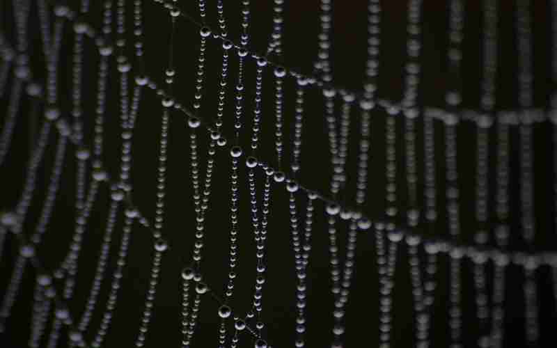 正版ChatGPT长什么样