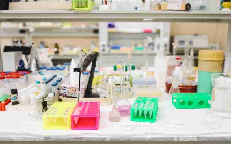 ChatGPT手机如何登录和注册账号 ChatGPT手机如何登录和注册账号