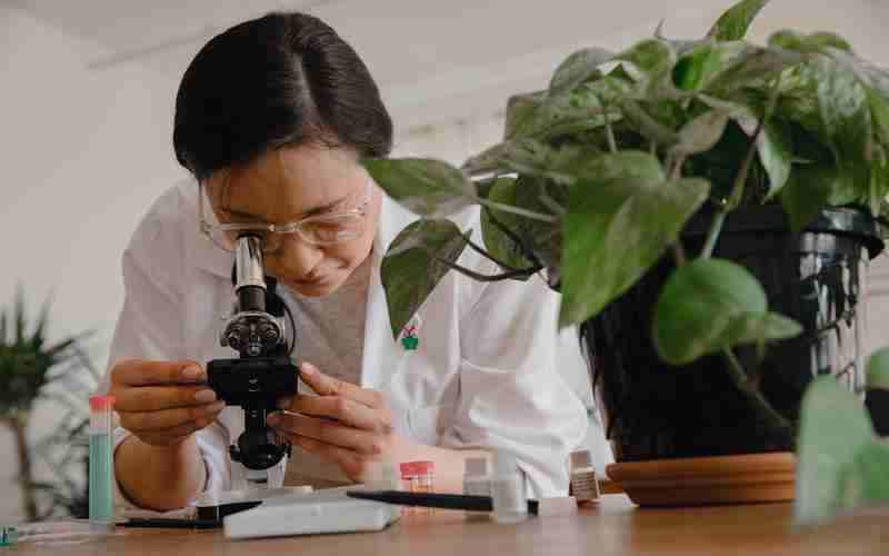 如何安装并使用ChatGPT插件 如何安装并使用ChatGPT插件