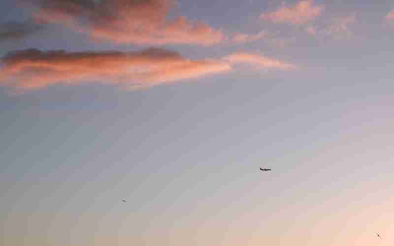 ChatGPT安卓手机版如何设置隐私和安全