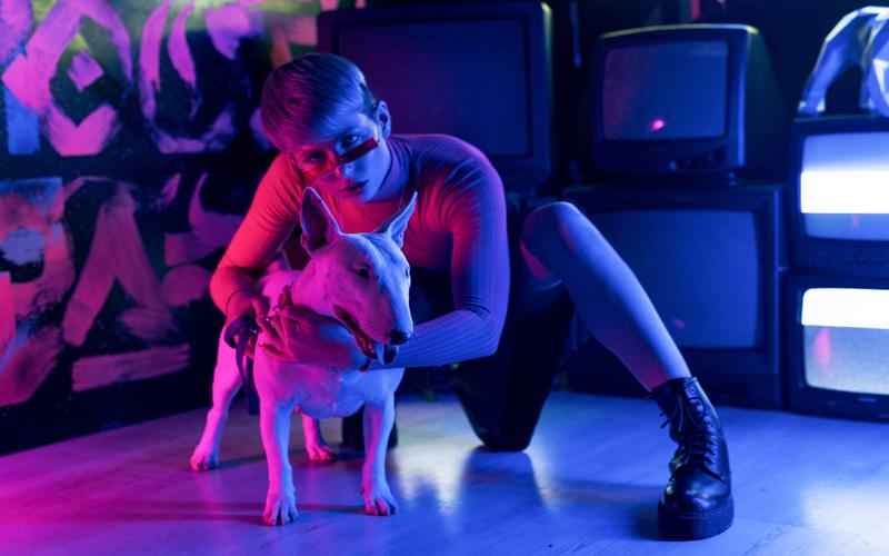 ChatGPT的幕后老板：埃隆·马斯克？