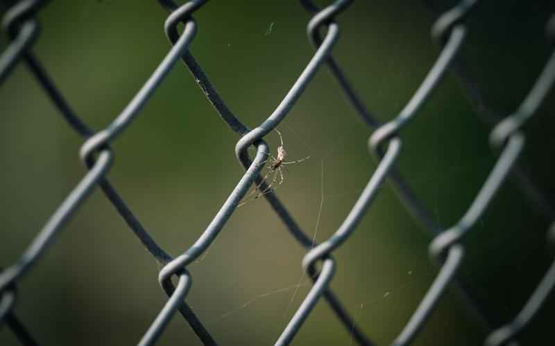 ChatGPT引领内容革命,解锁无限可能 ChatGPT引领内容革命,解锁无限可能
