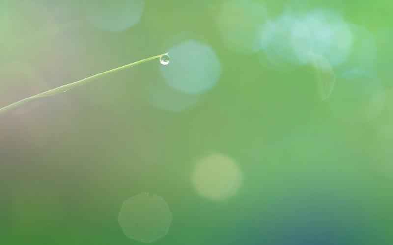 ChatGPT降重风险升高，AI原创能力受挑战