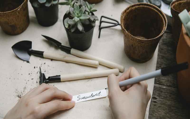 ChatGPT iOS 版最新动态重要更新,不可错过 ChatGPT iOS 版最新动态重要更新,不可错过