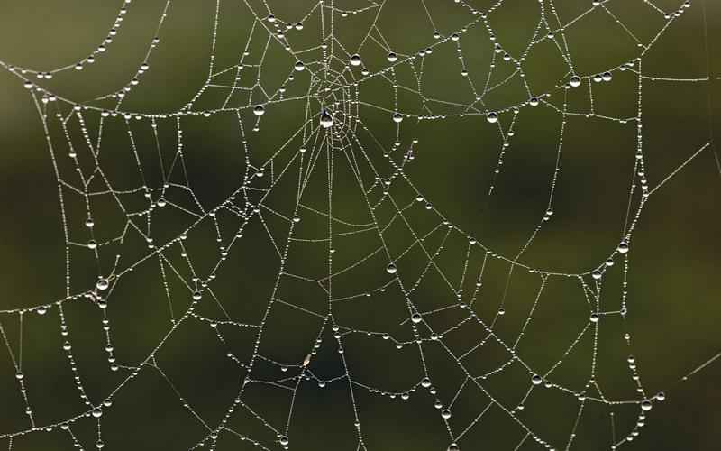 ChatGPT资料常更新,获取信息更便捷 ChatGPT资料常更新,获取信息更便捷