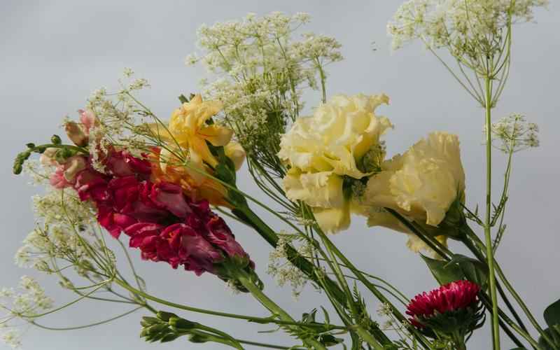 人工智能变现新时代：ChatGPT商业化之路