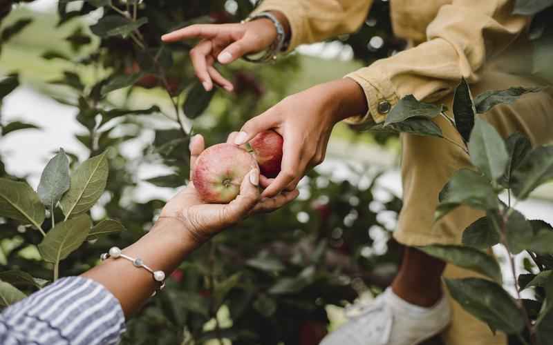 ChatGPT手机版中文翻译神器一键转换，轻松无忧