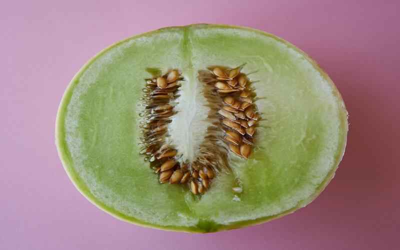 ChatGPT，应用生成器？从对话到产品，一触即发