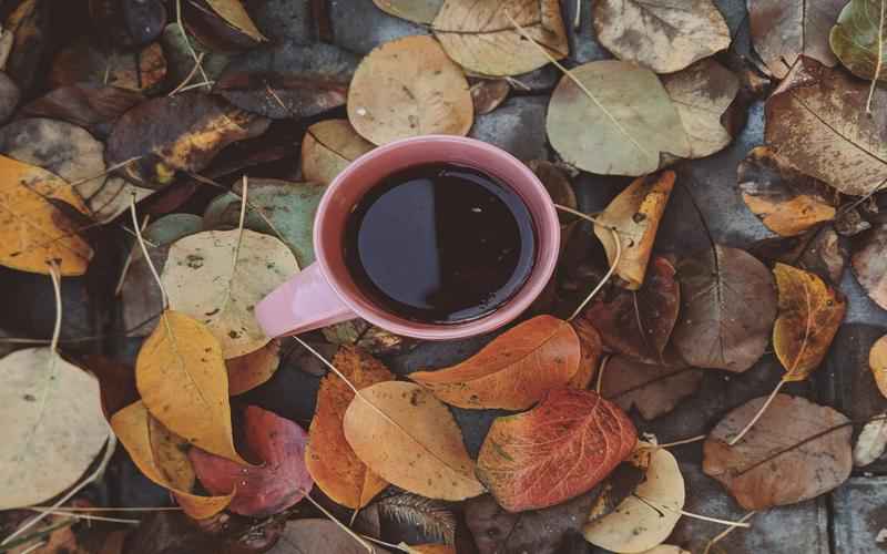 ChatGPT网页应用指南解锁网页上的人工智能力量