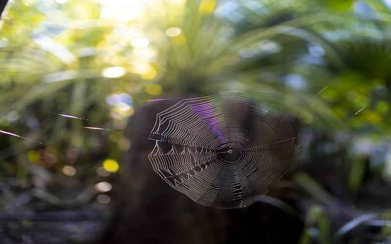 ChatGPT表情包的隐秘解读，解读表情背后的深意
