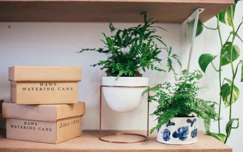 ChatGPT哪个版本好用?新版旧版区别一览 ChatGPT哪个版本好用?新版旧版区别一览