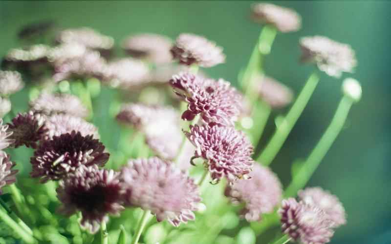 ChatGPT:计费模式详解,一文读懂 ChatGPT:计费模式详解,一文读懂