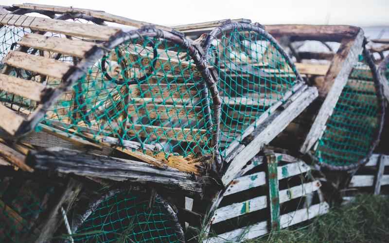 ChatGPT助力妙笔童心,打造精彩绘本王国 ChatGPT助力妙笔童心,打造精彩绘本王国