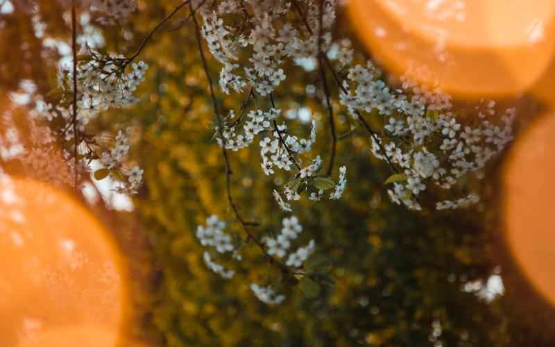 阿里内测ChatGPT版,智能聊天新时代 阿里内测ChatGPT版,智能聊天新时代