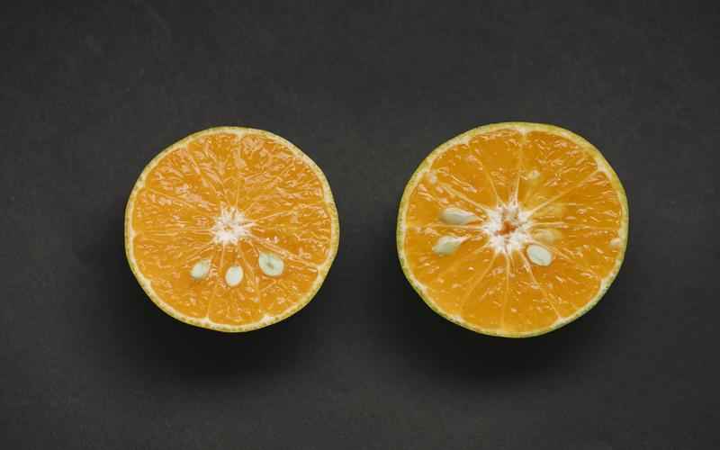 ChatGPT的局限性:揭露其不足之处 ChatGPT的局限性:揭露其不足之处