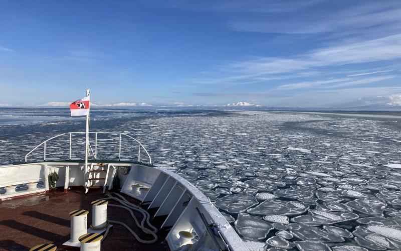 ChatGPT翻译论文露馅吗论文翻译”陷阱重重 ChatGPT翻译论文露馅吗论文翻译”陷阱重重