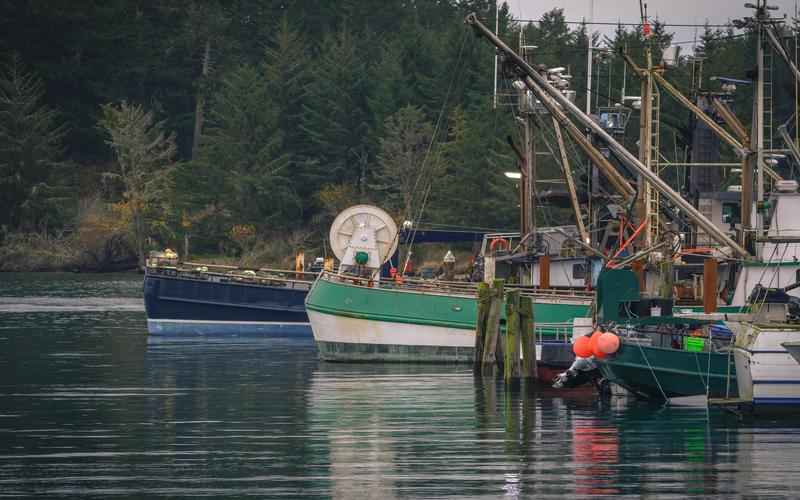 ChatGPT创始人身价惊天，硅谷新贵财富秘籍