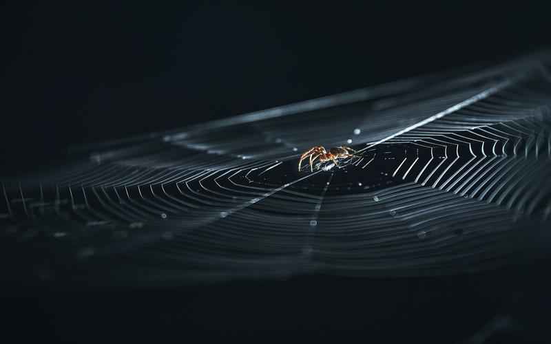 ChatGPT进阶学习 驾驭知识海洋