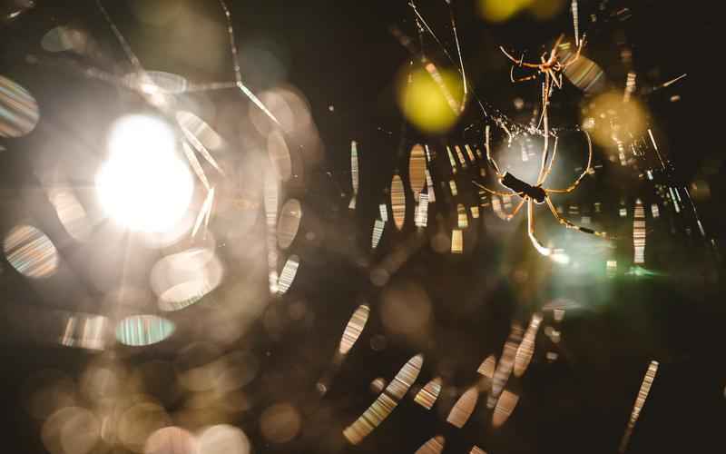 ChatGPT与ChatGAP的区别简析:新旧AI的较量 ChatGPT与ChatGAP的区别简析:新旧AI的较量