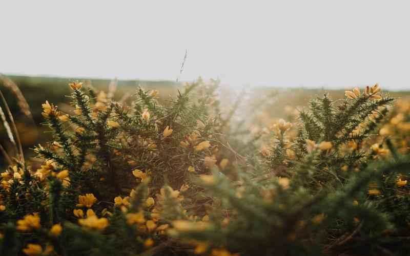 ChatGPT飞速成长势不可挡 ChatGPT飞速成长势不可挡