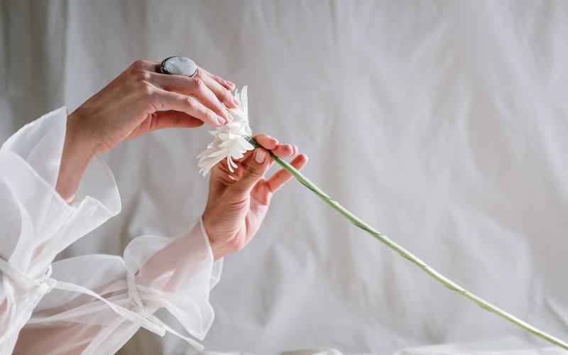 ChatGPT,它是真的吗? ChatGPT,它是真的吗?