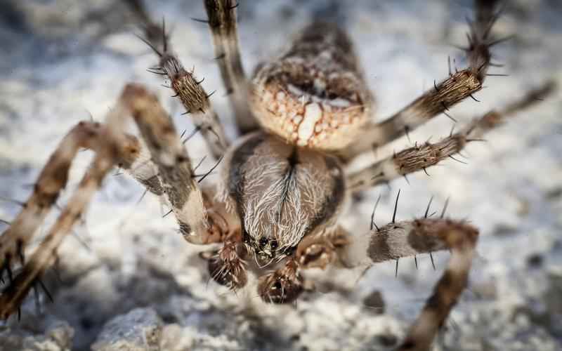 ChatGPT妙音出,一生成频乐无穷 ChatGPT妙音出,一生成频乐无穷