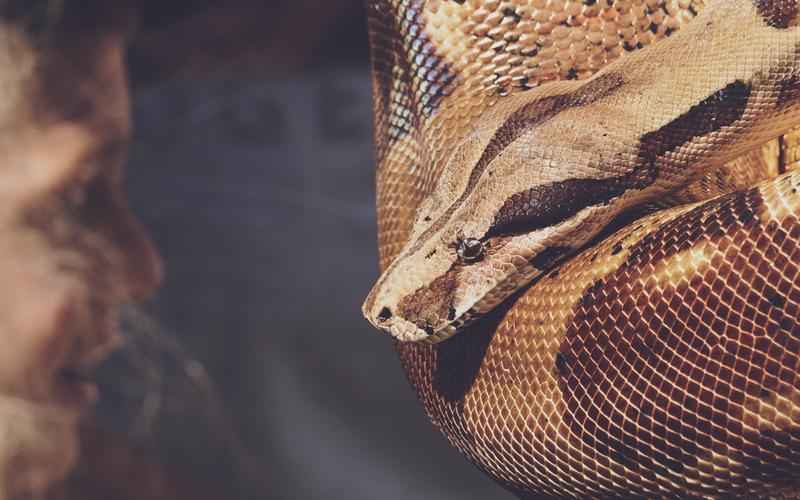 ChatGPT数据运算秘籍破解复杂数据迷局 ChatGPT数据运算秘籍破解复杂数据迷局