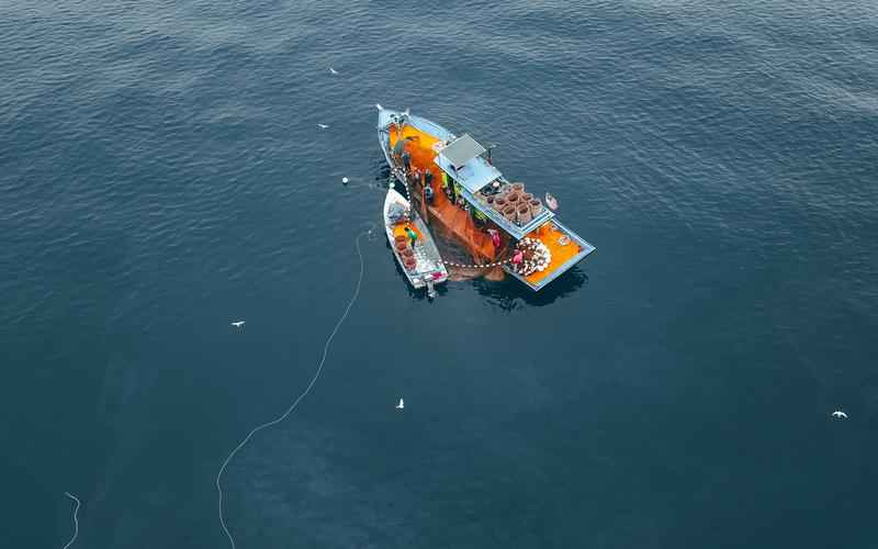 ChatGPT安卓版,何时闪耀?揭秘临近发布的最新信息 ChatGPT安卓版,何时闪耀?揭秘临近发布的最新信息