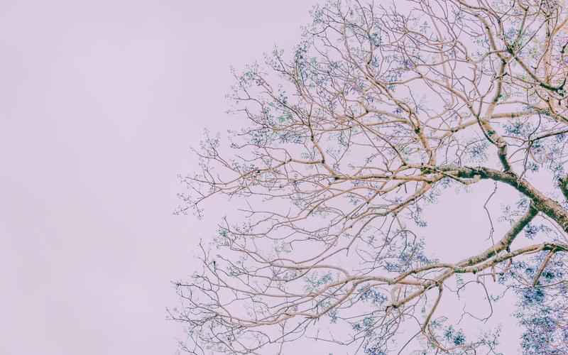 人工智能助阵提瓦特,ChatGPT解锁原神新境界 人工智能助阵提瓦特,ChatGPT解锁原神新境界