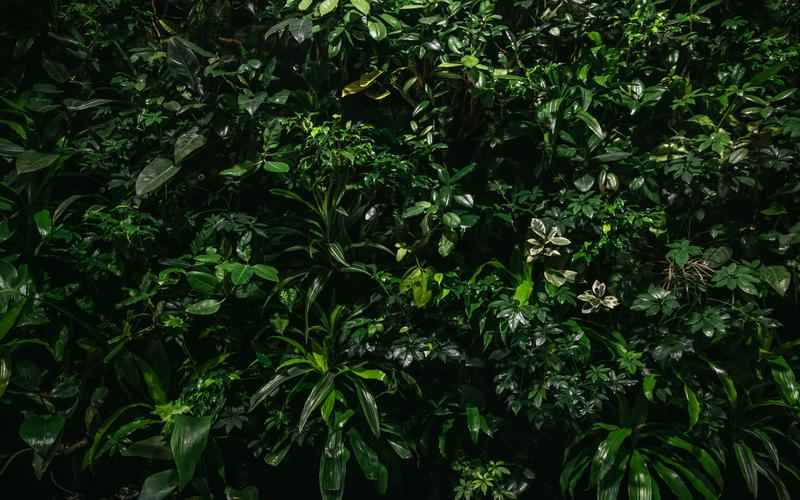 ChatGPT神器助阵，拓展效率新境界