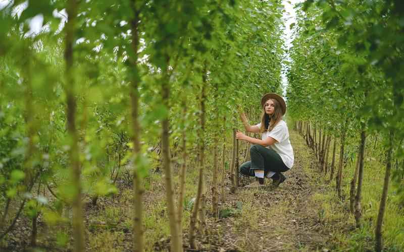 智能助理，畅游信息海人工智能助手，指尖获取知识