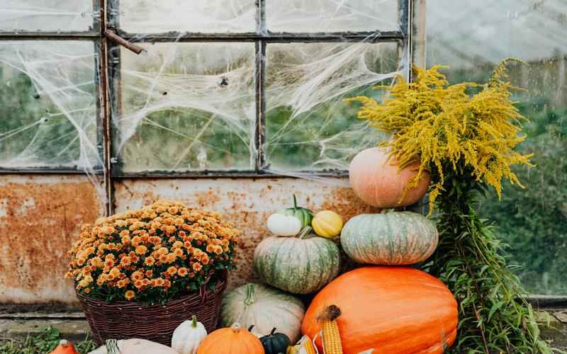 ChatGPT微信接入攻略微信解锁ChatGPT新玩法 ChatGPT微信接入攻略微信解锁ChatGPT新玩法