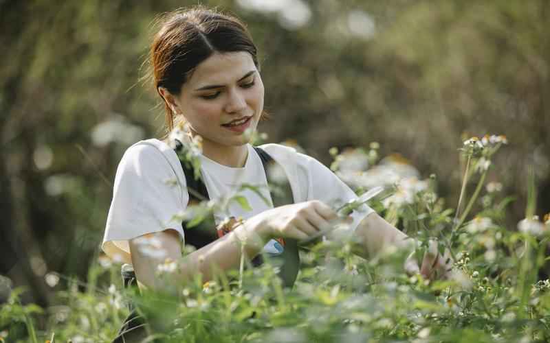 ChatGPT热议不停,火爆全网人工智能崛起,未来已来 ChatGPT热议不停,火爆全网人工智能崛起,未来已来