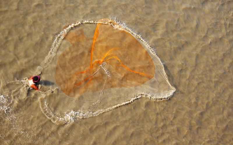 ChatGPT安卓安装指南：图文教程，轻松搞定