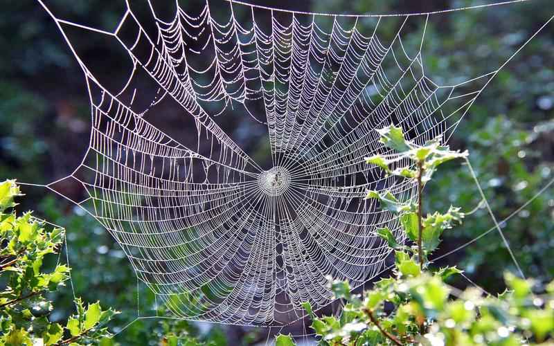 人工智能助手融入增强现实 眼界,智慧升级 人工智能助手融入增强现实 眼界,智慧升级