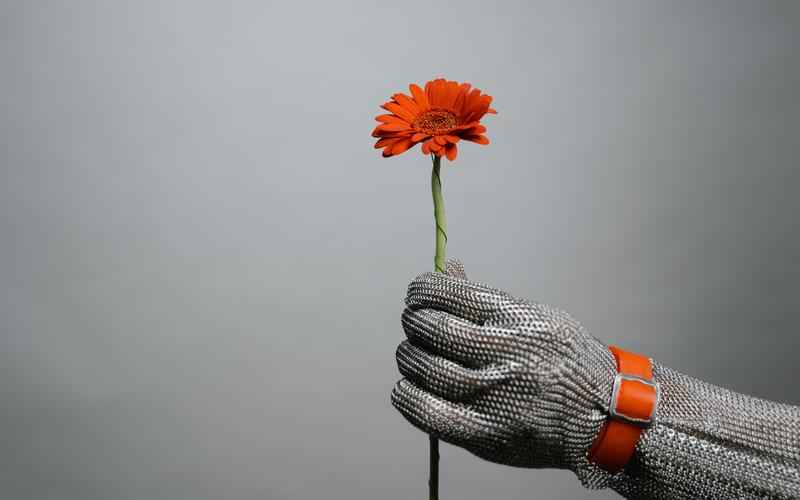 ChatGPT 的深度探索，意义与价值之探寻