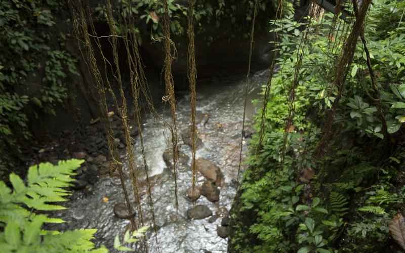 ChatGPT的命运:消逝还是进化 ChatGPT的命运:消逝还是进化