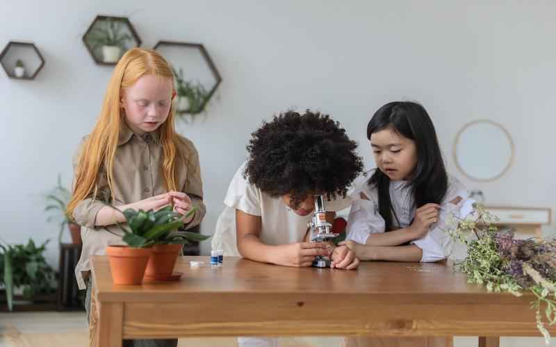 ChatGPT 安卓登录受阻网络连接疑云重重 ChatGPT 安卓登录受阻网络连接疑云重重