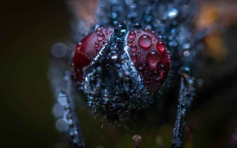 ChatGPT影评如画,智能解说全览 ChatGPT影评如画,智能解说全览